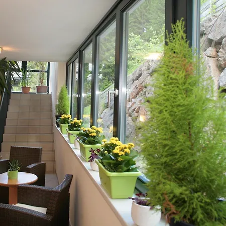 Der Wildbachhof - Contactless Check In Appartement